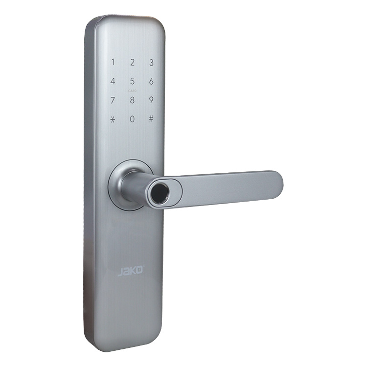 Cerradura en acabado plata - Vista 1